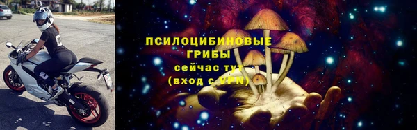 СК Армянск