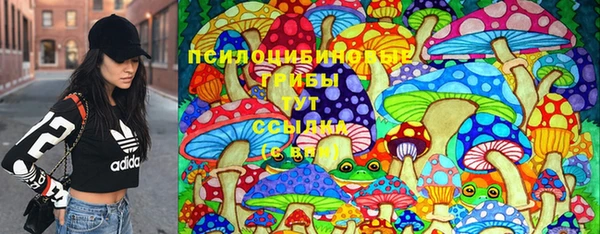 каннабис Арсеньев