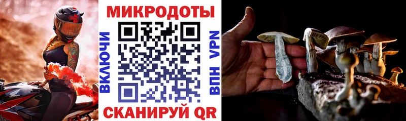 наркотики  Старый Крым  Псилоцибиновые грибы мухоморы 